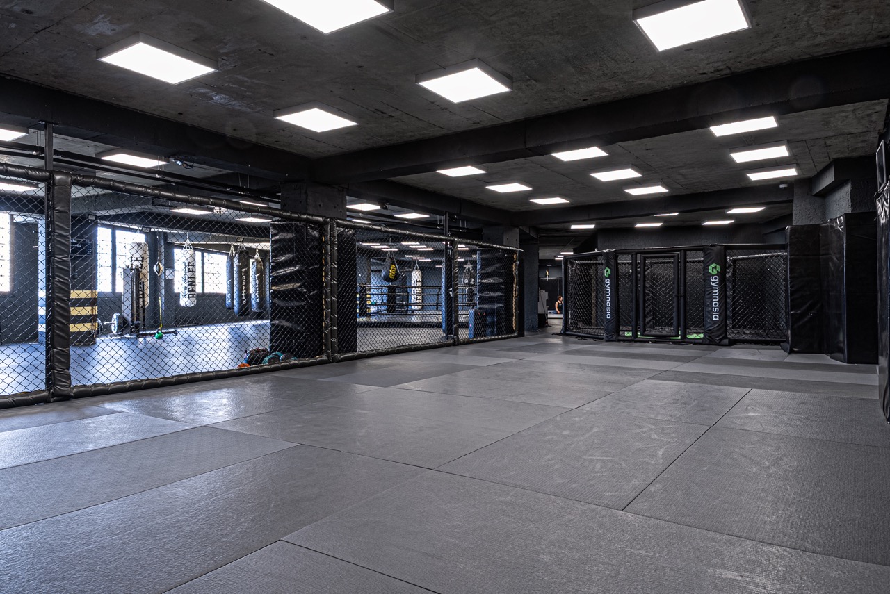 Indoor judo and grappling zone with wall-mounted crash mats